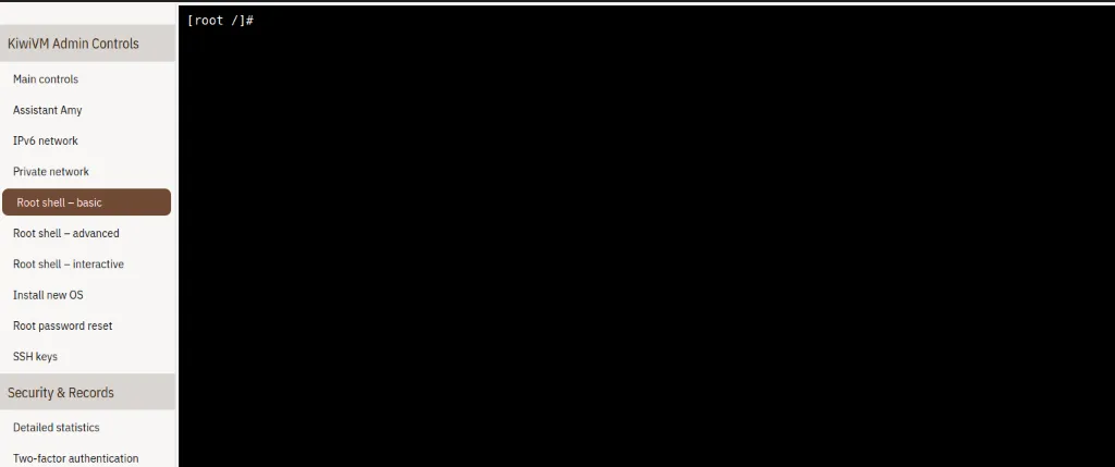 KiwiVM Root shell - basic 界面示意图